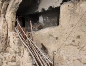 Tunceli Çemişgezek’te yaban keçileri 25 odalı İn Delikleri’ne tırmandı