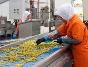 Türkiye, turşu ihracatından 9 ayda 301 milyon 675 bin dolar gelir elde etti