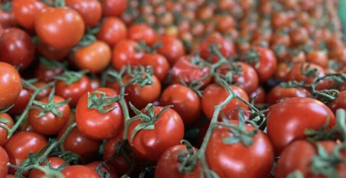 TZOB açıkladı: Ekim ayında marketlerin zam şampiyonu belli oldu