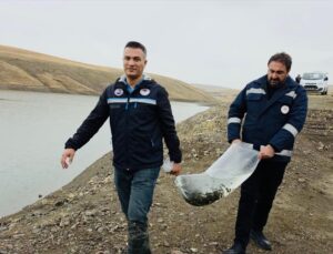 Van’da 8 gölette balık stokları yaklaşık 700 bin sazan yavrusuyla desteklendi