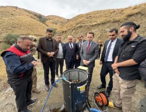 Yüksekova Kaymakamı Hülür, 50 dönümlük ceviz bahçesinde hasada katıldı